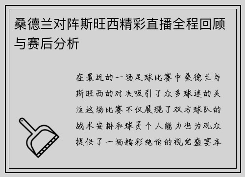 桑德兰对阵斯旺西精彩直播全程回顾与赛后分析